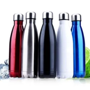 Bouteille Isotherme Inox Fresh Cool