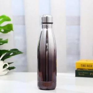 Bouteille Isotherme Inox Glossy Dégradé