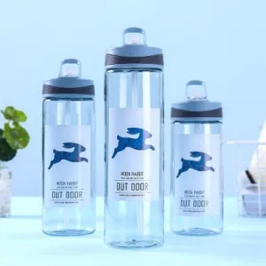 Gourde Sport Moon Rabbit